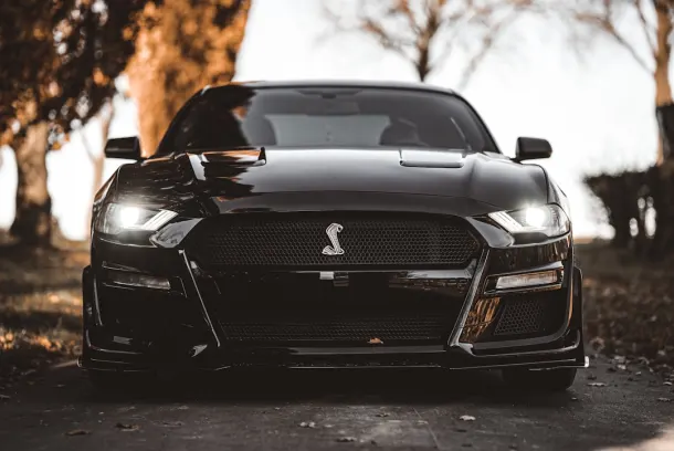 Luckland Casino Aplicación Android/iOS